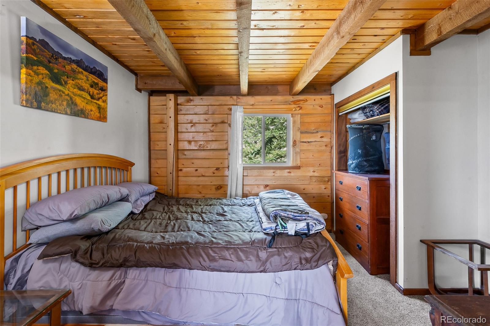 7256 Jefferson Road Lake George, CO 80827 - Photo 36 of 47