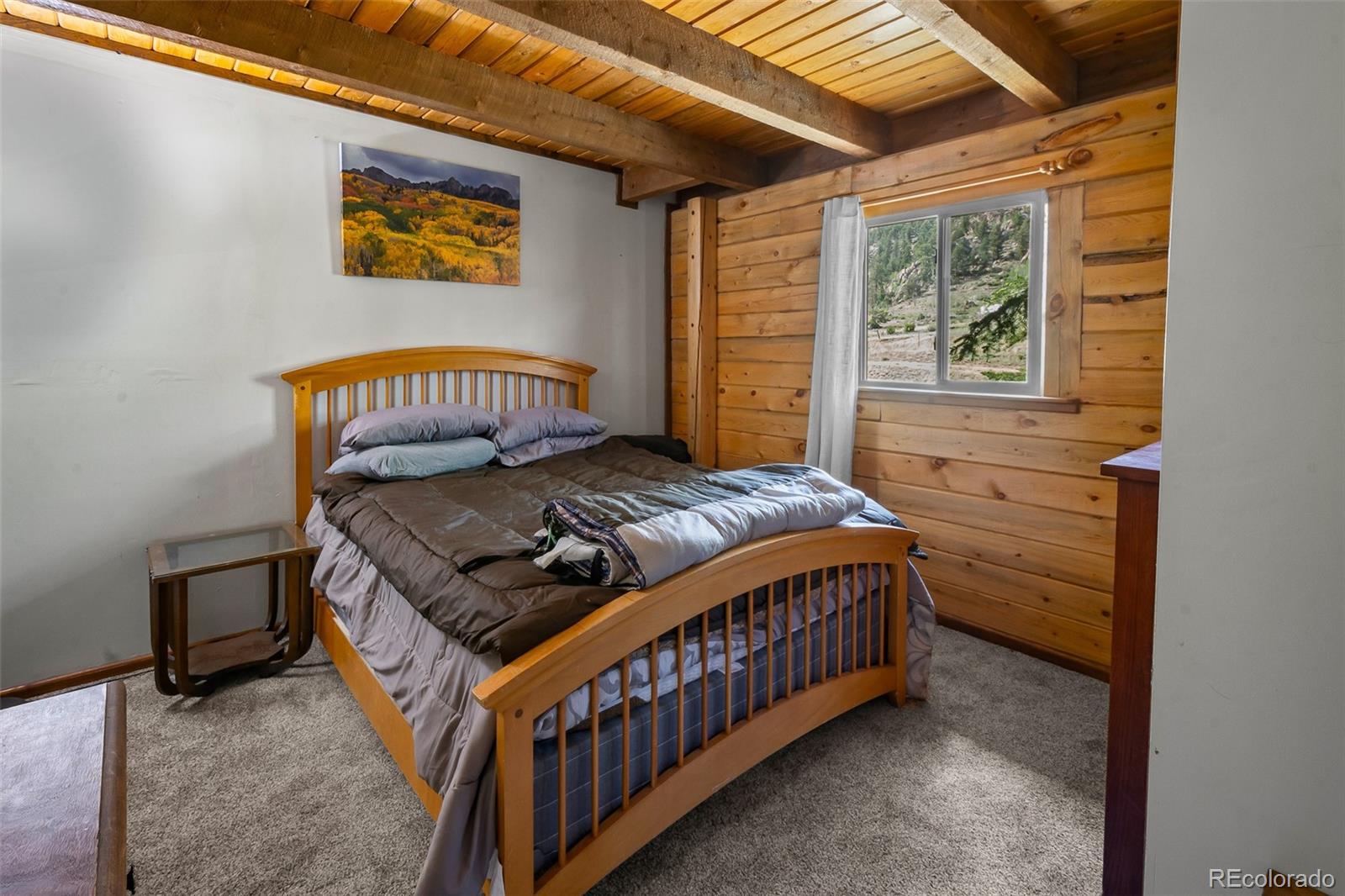 7256 Jefferson Road Lake George, CO 80827 - Photo 37 of 47