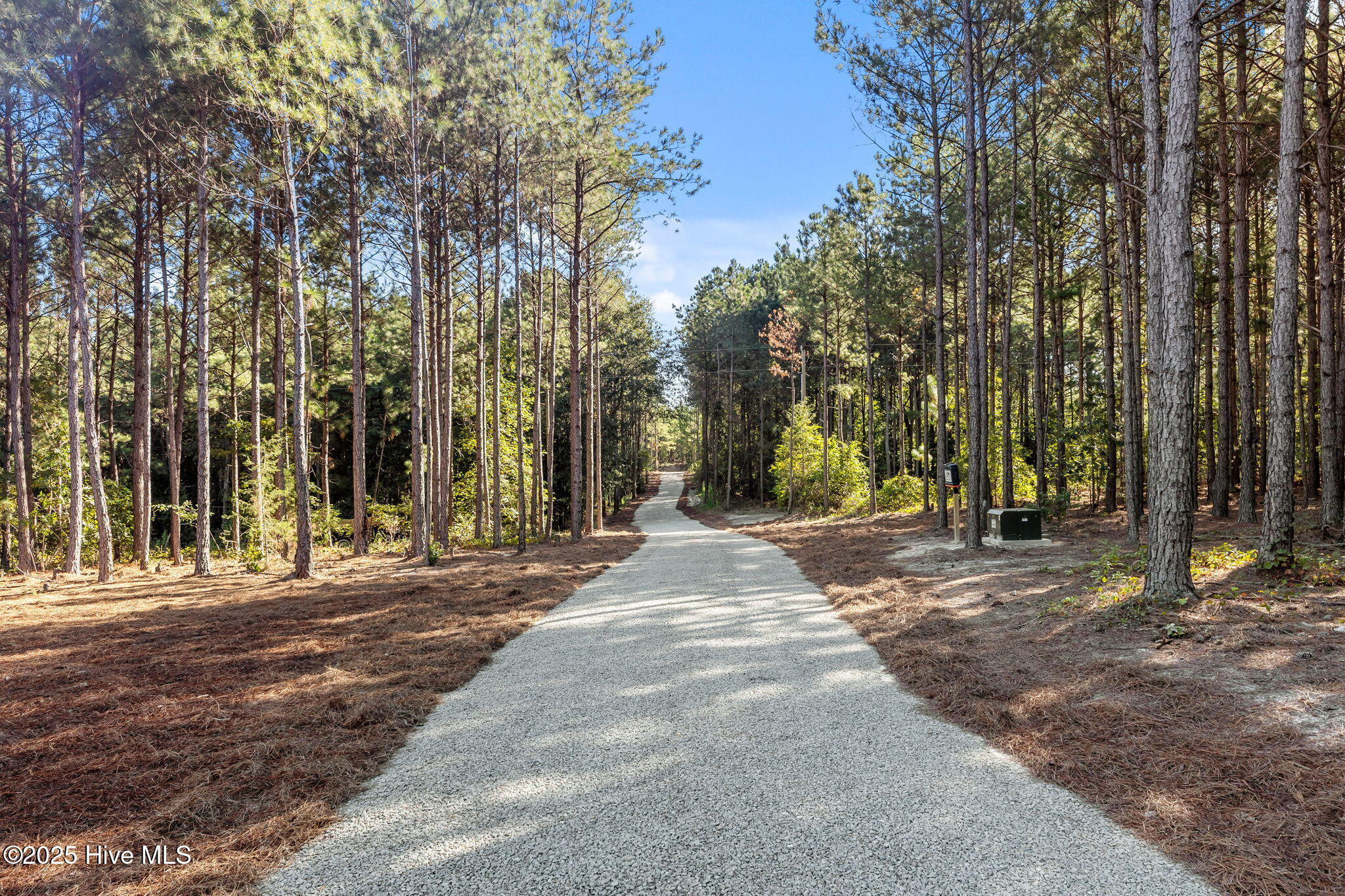 445 Oldham Road West End, NC 27376 - Photo 51 of 58 Secluded Gravel Driveway to home