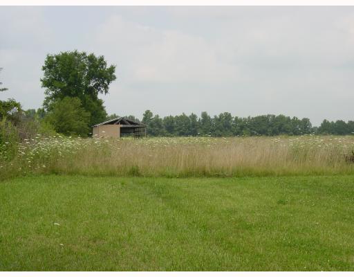 24232 Rapp-Dean Road Raymond, OH 43067 - Photo 3 of 8 Gallery Image 3