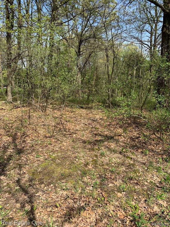 0 Rattalee Lake Road Holly, MI 48442 - Photo 4 of 6