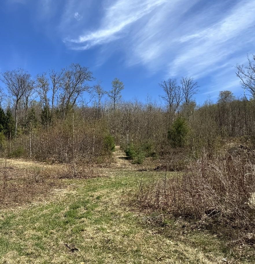 0 Black North Road Acworth, NH 03601 - Photo 3 of 17