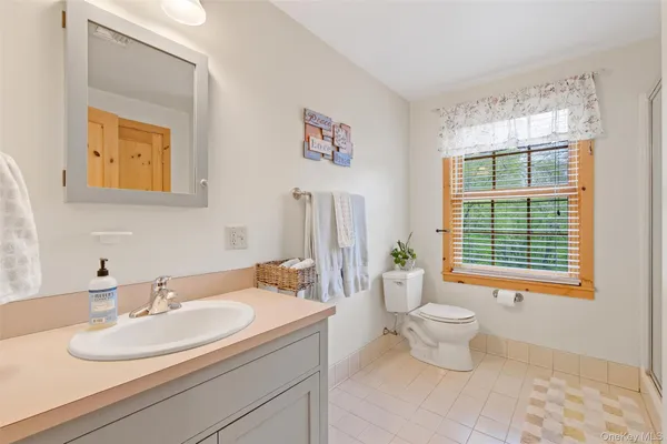 a bathroom with a toilet sink and mirror