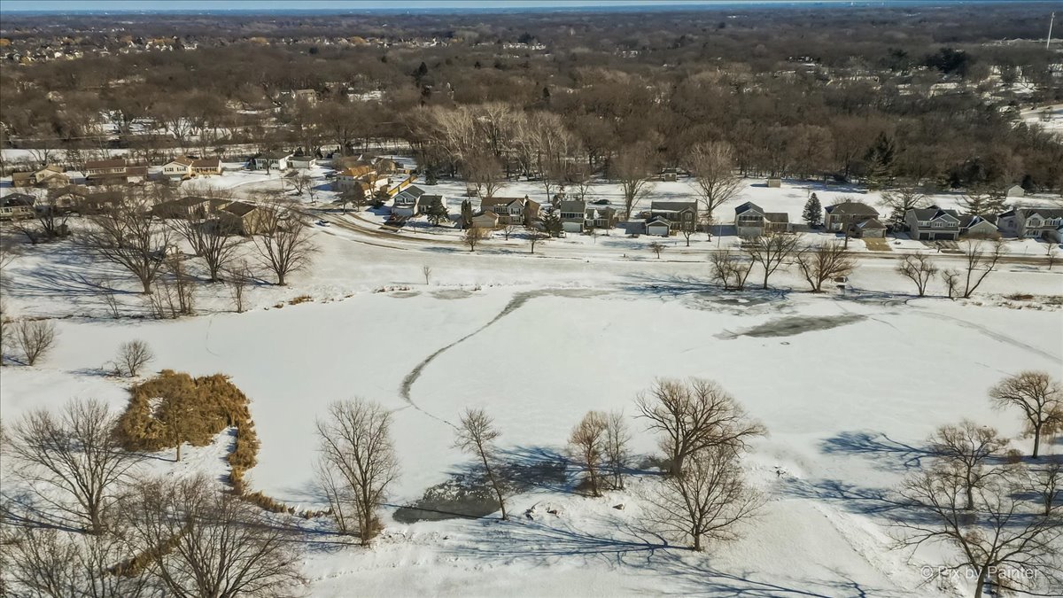 680 Cypress Bridge Road Lake Zurich, IL 60047 - Photo 3 of 29