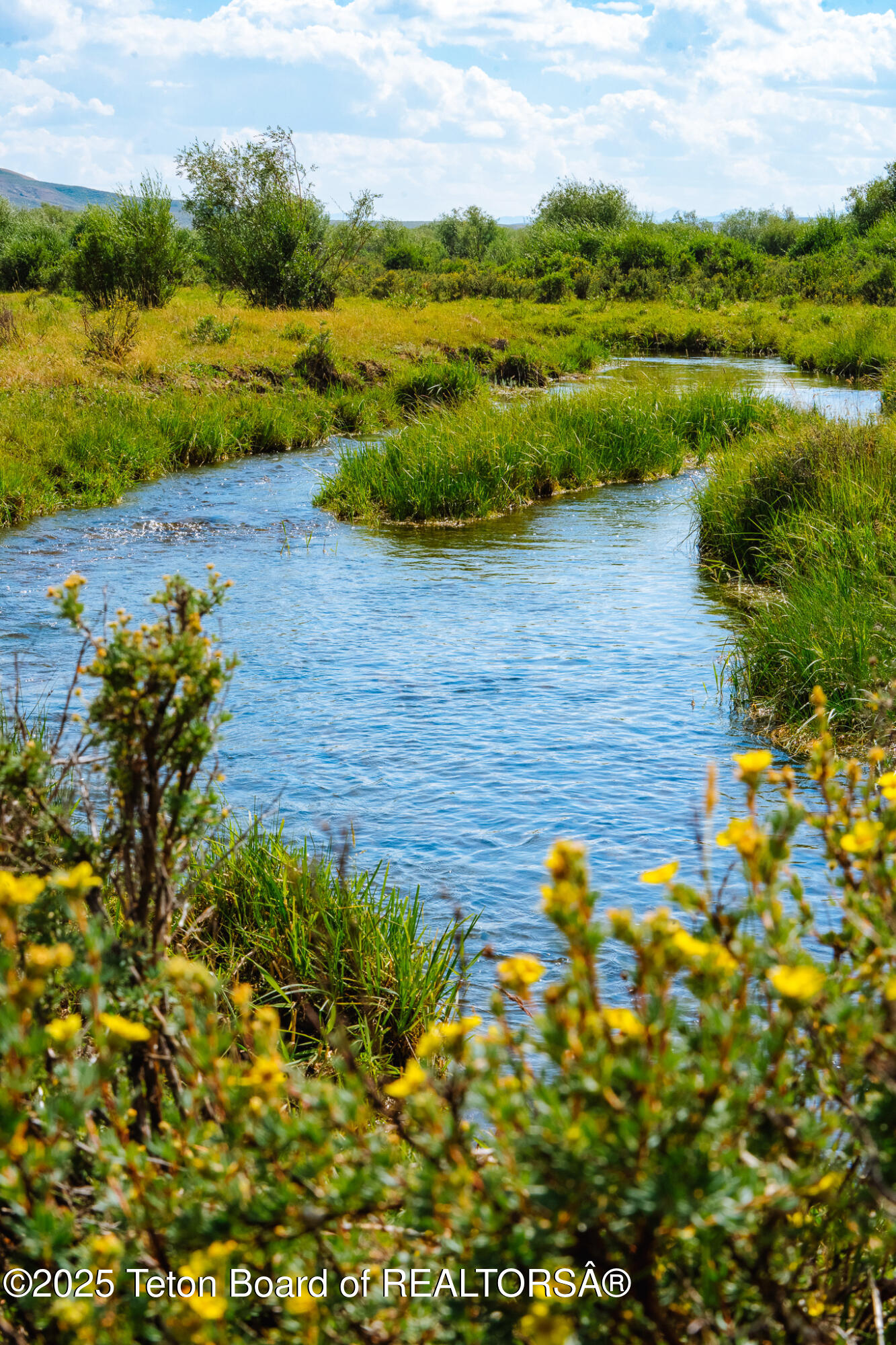 491 State Highway 354 Daniel, WY 83115 - Photo 29 of 34 Spring Creek