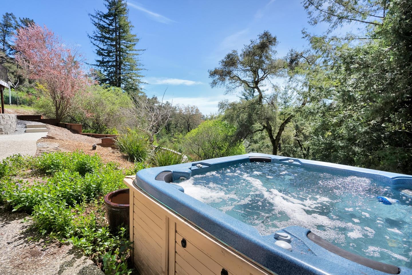 23342 Deerfield Road Los Gatos, CA 95033 - Photo 27 of 36 a view of a backyard with tree s