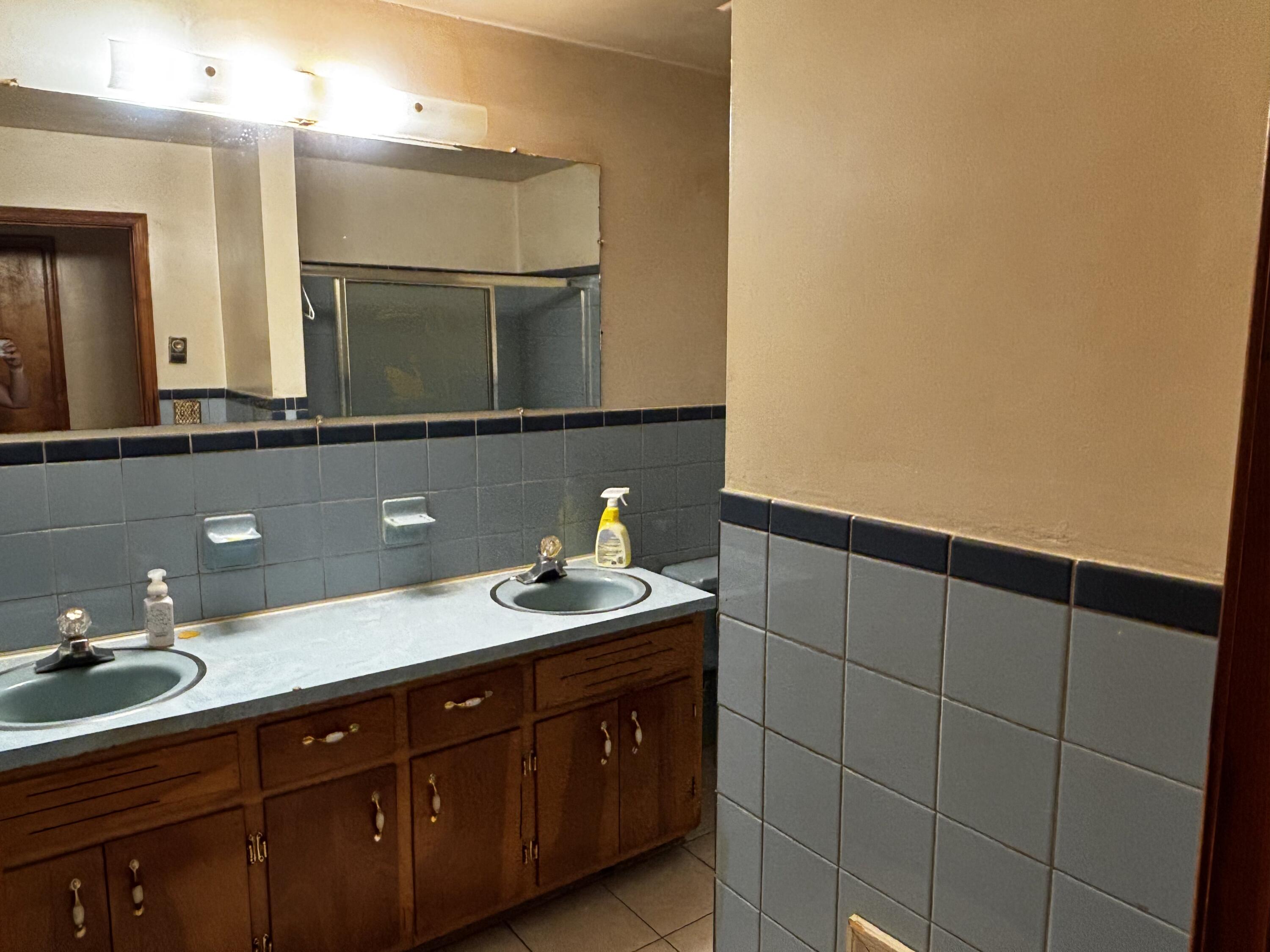 375 Barberry Road Southeast Floyd, VA 24091 - Photo 23 of 40 a bathroom with a sink and mirror