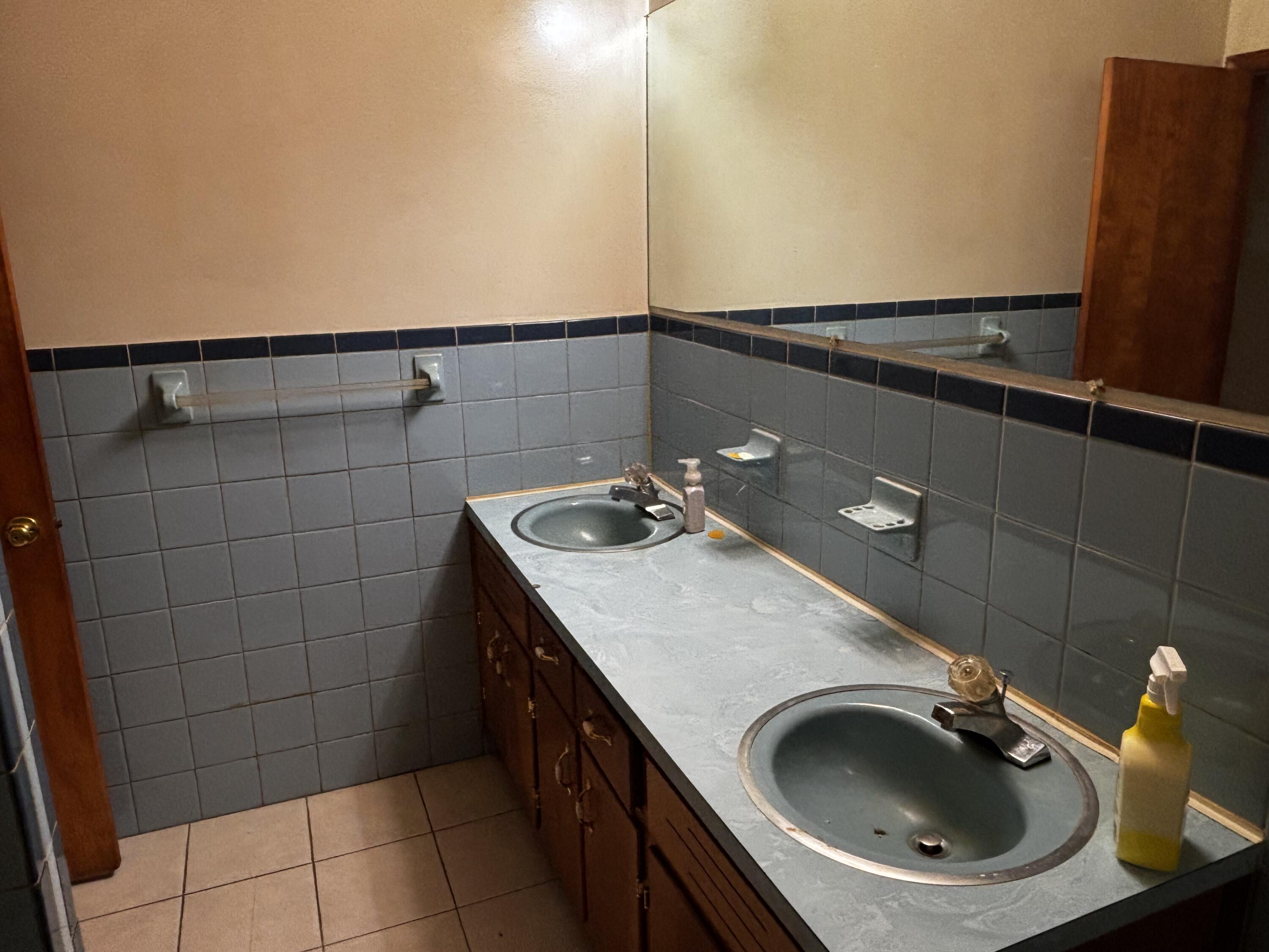 375 Barberry Road Southeast Floyd, VA 24091 - Photo 25 of 40 a bathroom with a sink and a mirror