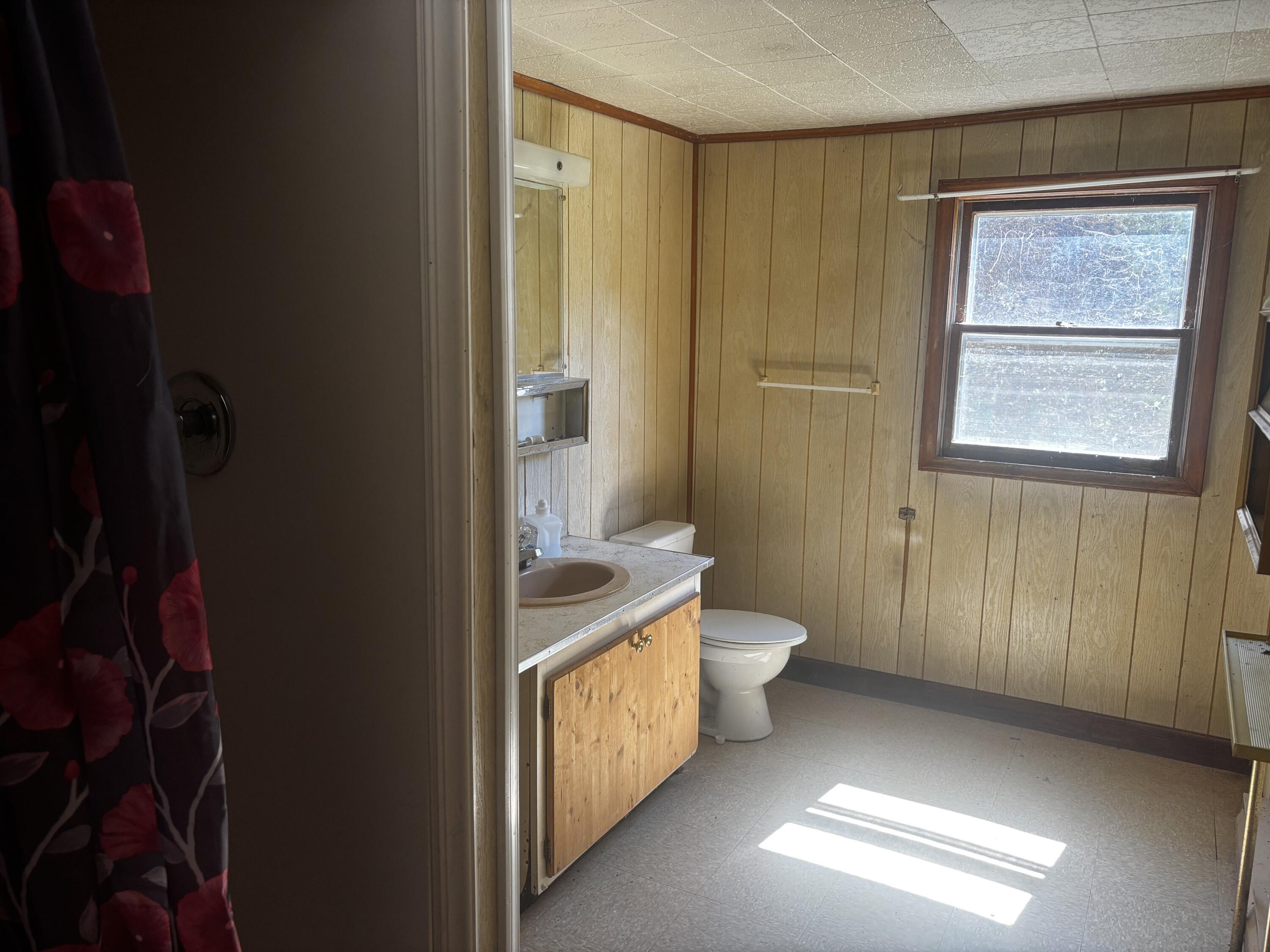 375 Barberry Road Southeast Floyd, VA 24091 - Photo 38 of 40 a bathroom with a double vanity sink and a toilet