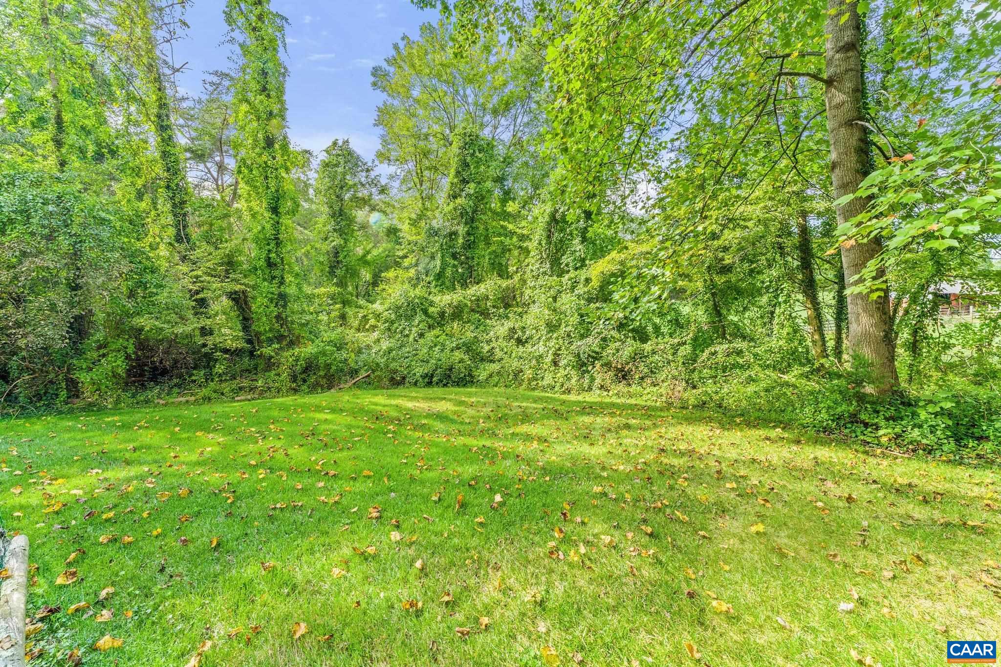 507 Northridge Road Ruckersville, VA 22968 - Photo 47 of 48 a view of yard with green space