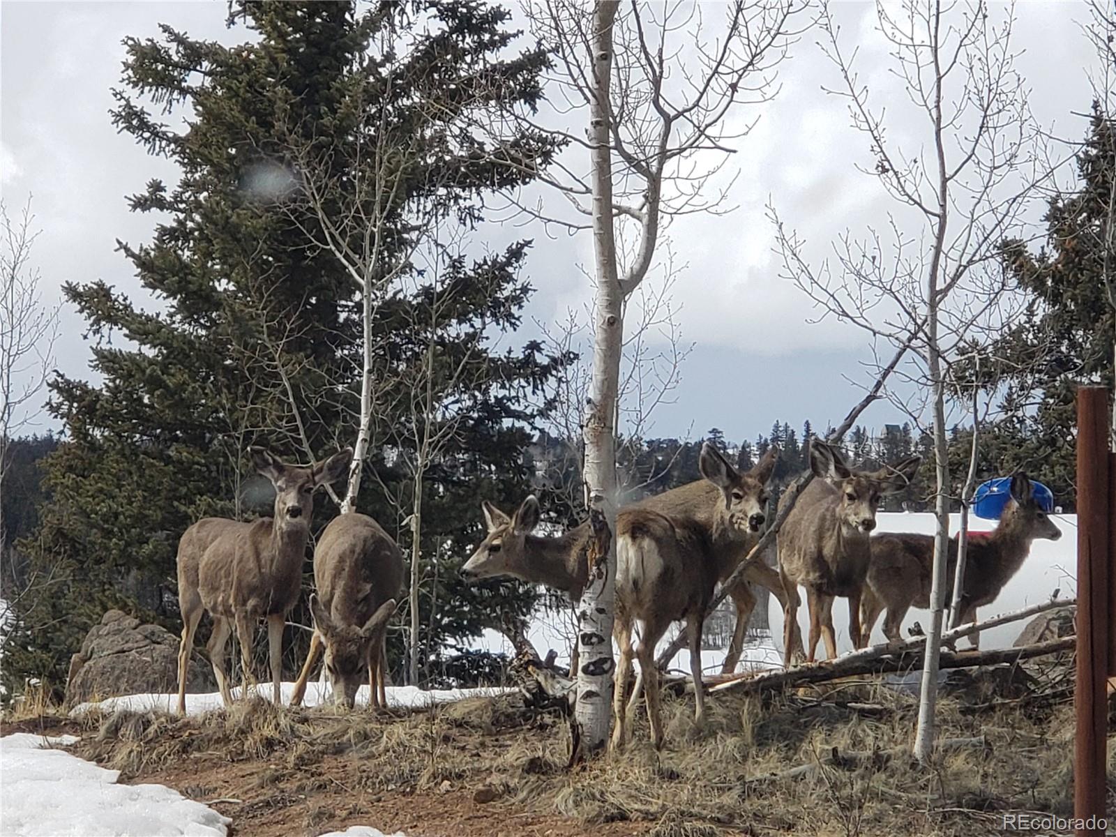 0 Holiday Way Crestone, CO 81131 - Photo 18 of 22