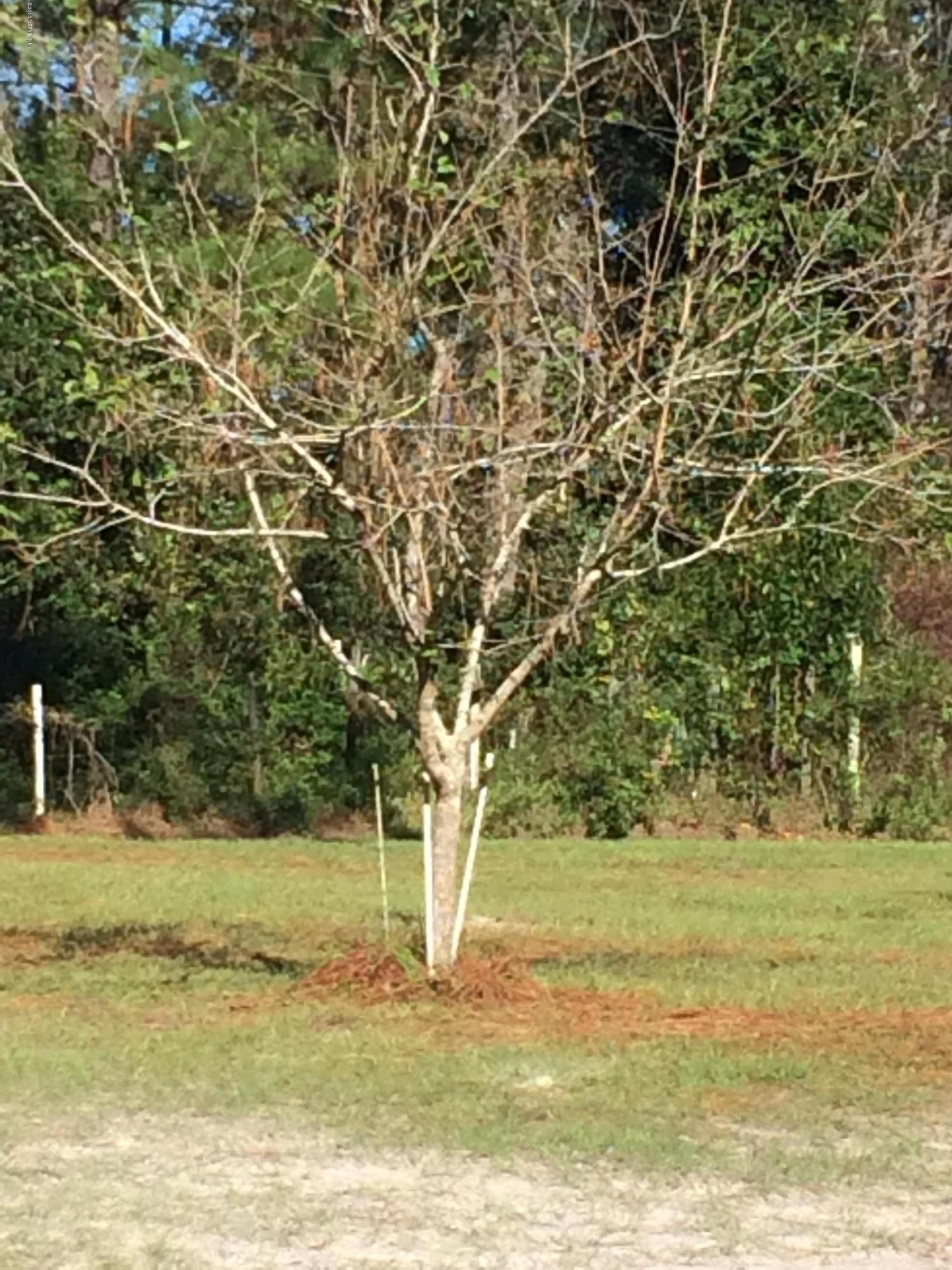 17092 Oak Hill Road Hilliard, FL 32046 - Photo 33 of 42 IMG_7135