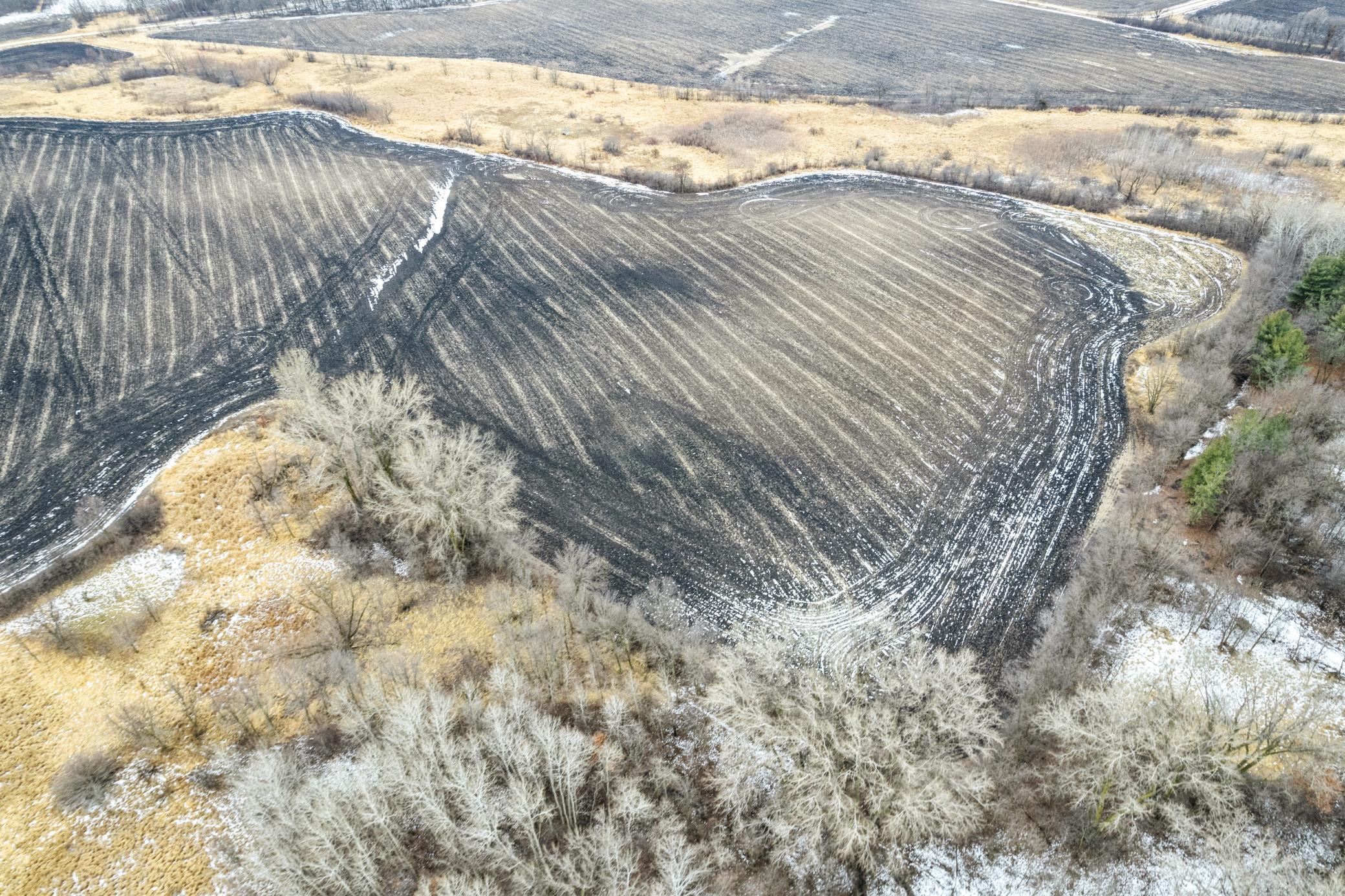 Tbd Canby Avenue Webster, MN 55088 - Photo 3 of 5