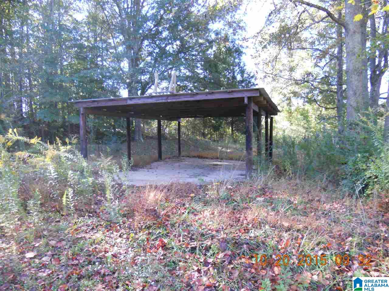 13259 Highway 46 Heflin, AL 36264 - Photo 3 of 17