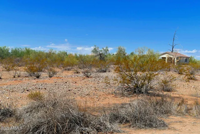 a view of a dry yard with trees