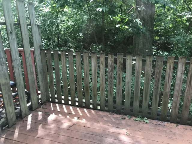 a view of outdoor space with plants