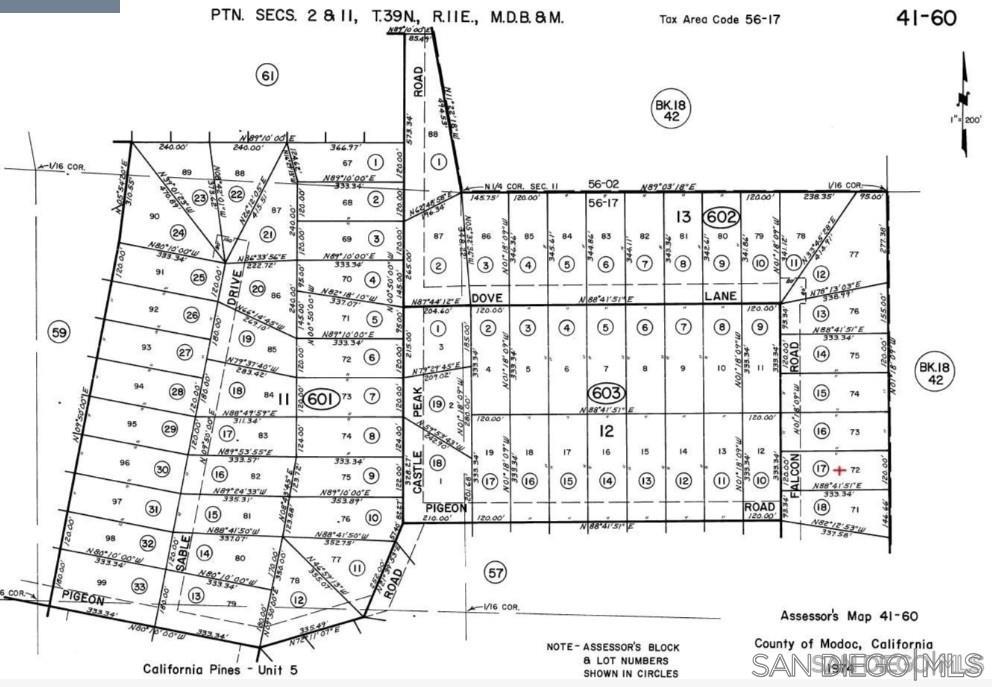 17 Falcon Road Likely, CA 96116 - Photo 2 of 2 a black and white photo of a painting