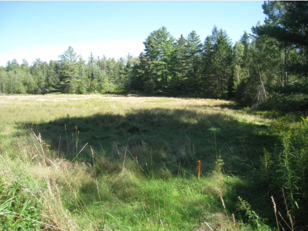Lot 2 Rt 105e Highway, Unit 2 Island Pond, VT 05846 - Photo 3 of 7
