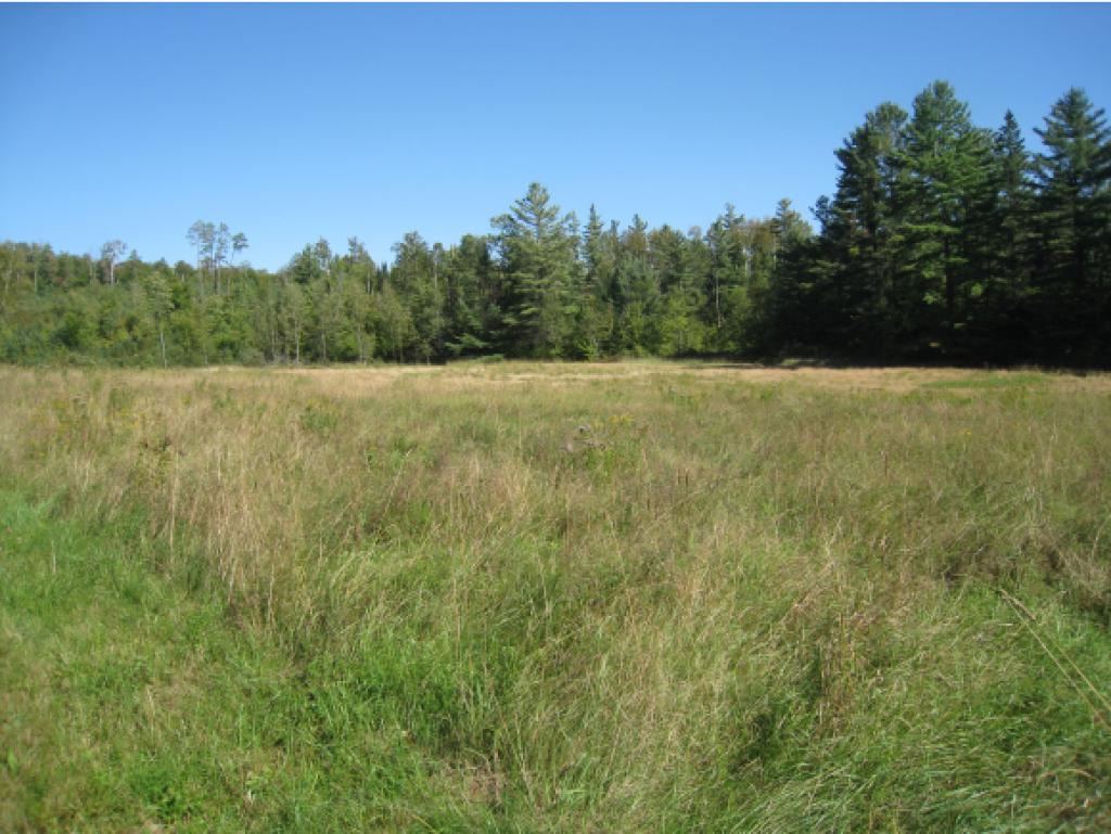 Lot 2 Rt 105e Highway, Unit 2 Island Pond, VT 05846 - Photo 4 of 7