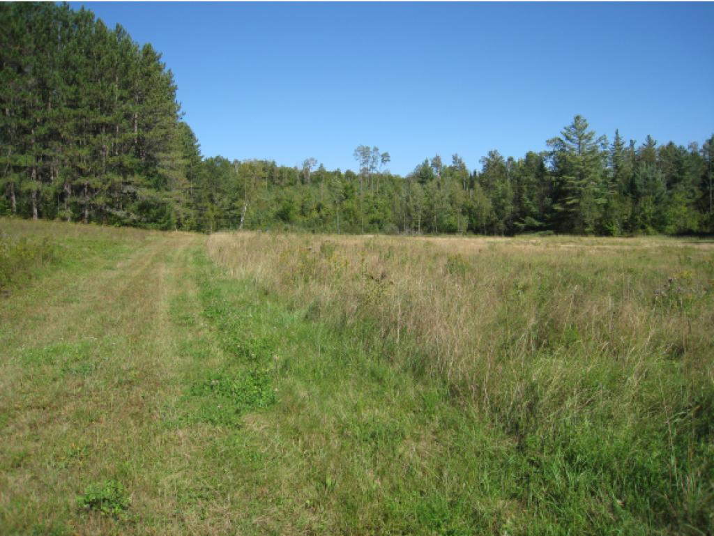 Lot 2 Rt 105e Highway, Unit 2 Island Pond, VT 05846 - Photo 5 of 7