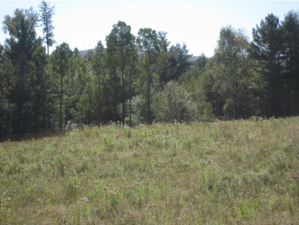 Lot 2 Rt 105e Highway, Unit 2 Island Pond, VT 05846 - Photo 6 of 7