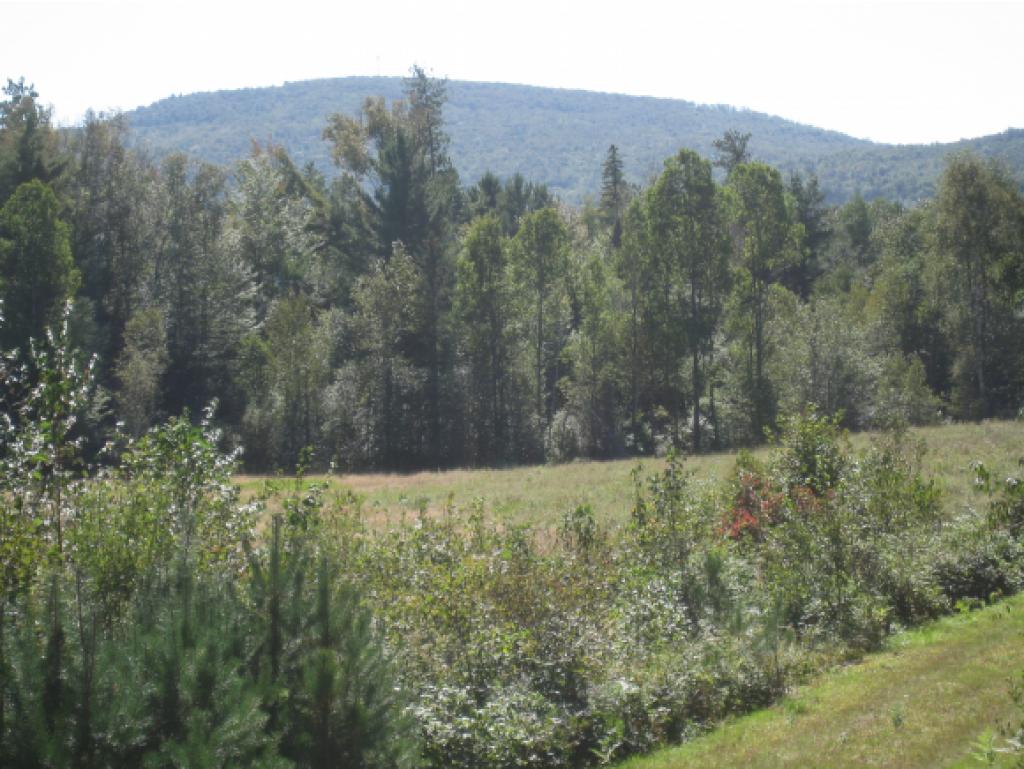 Lot 2 Rt 105e Highway, Unit 2 Island Pond, VT 05846 - Photo 7 of 7
