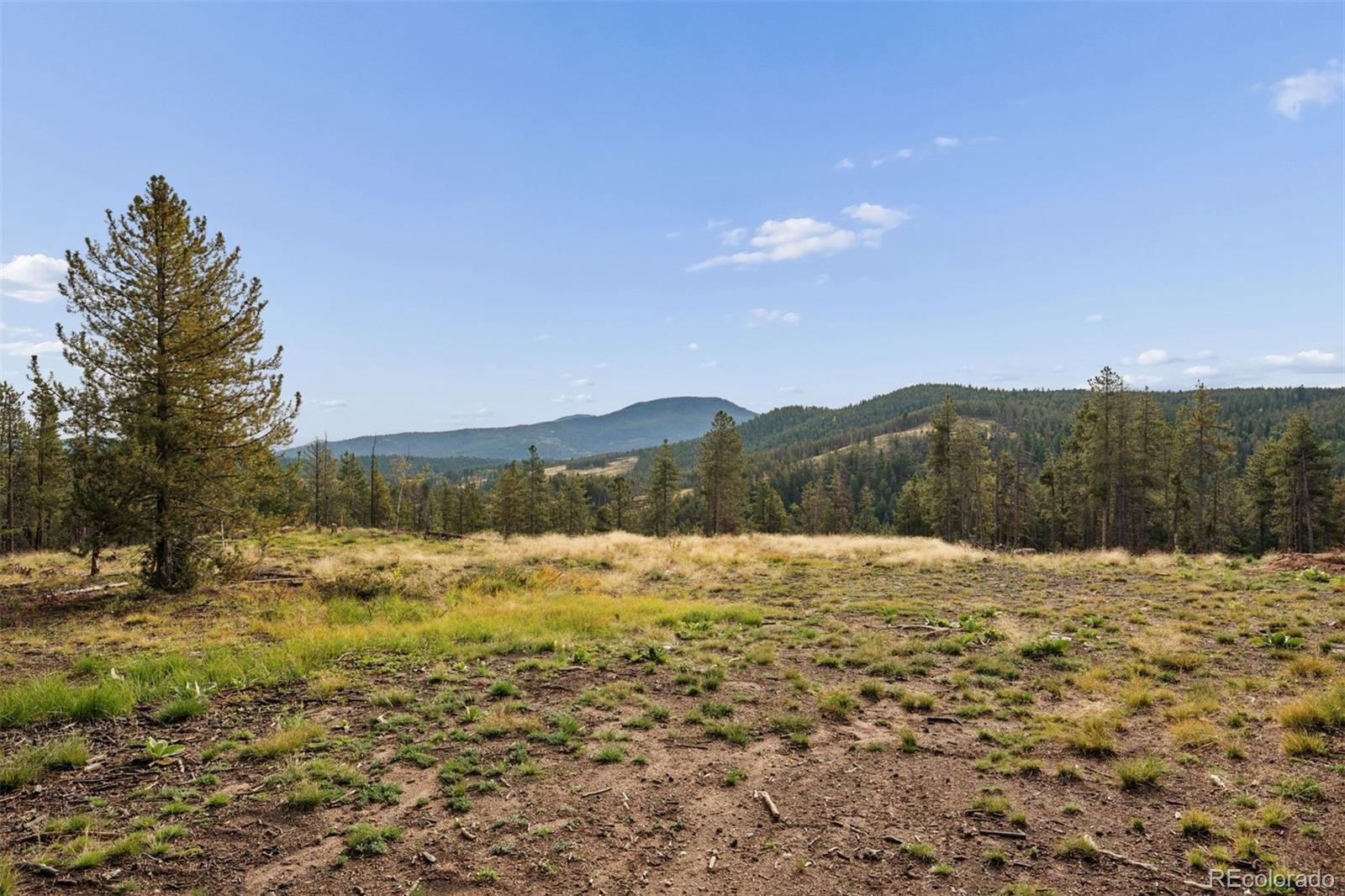 8570 South Warhawk Road Conifer, CO 80433 - Photo 6 of 29 Gallery Image 6
