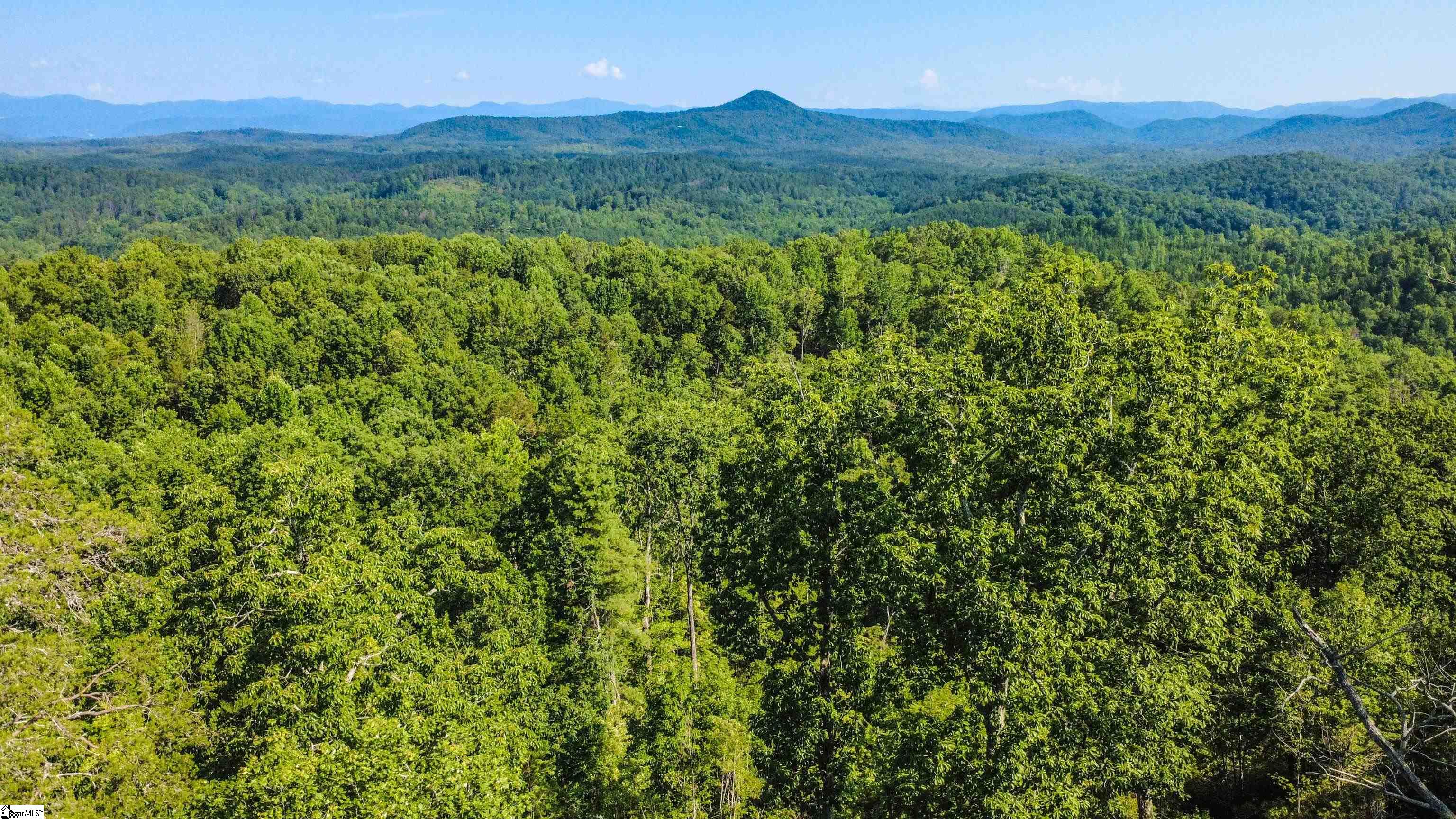 728-802 Scharlin Drive Pickens, SC 29671 - Photo 12 of 28