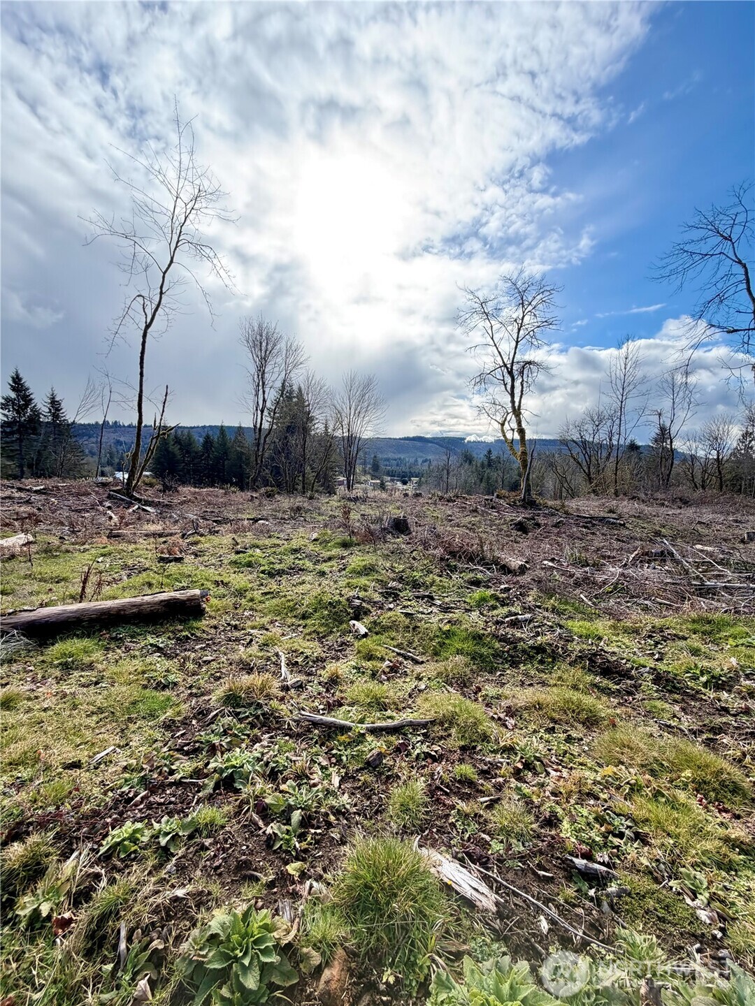 0 August Road Onalaska, WA 98570 - Photo 11 of 15 a view of a dry yard with wooden fence