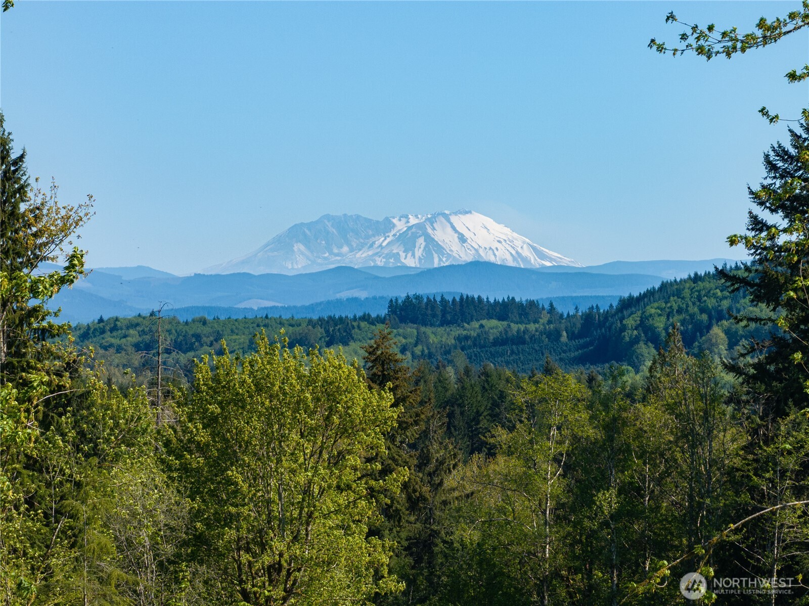 0 August Road Onalaska, WA 98570 - Photo 12 of 12
