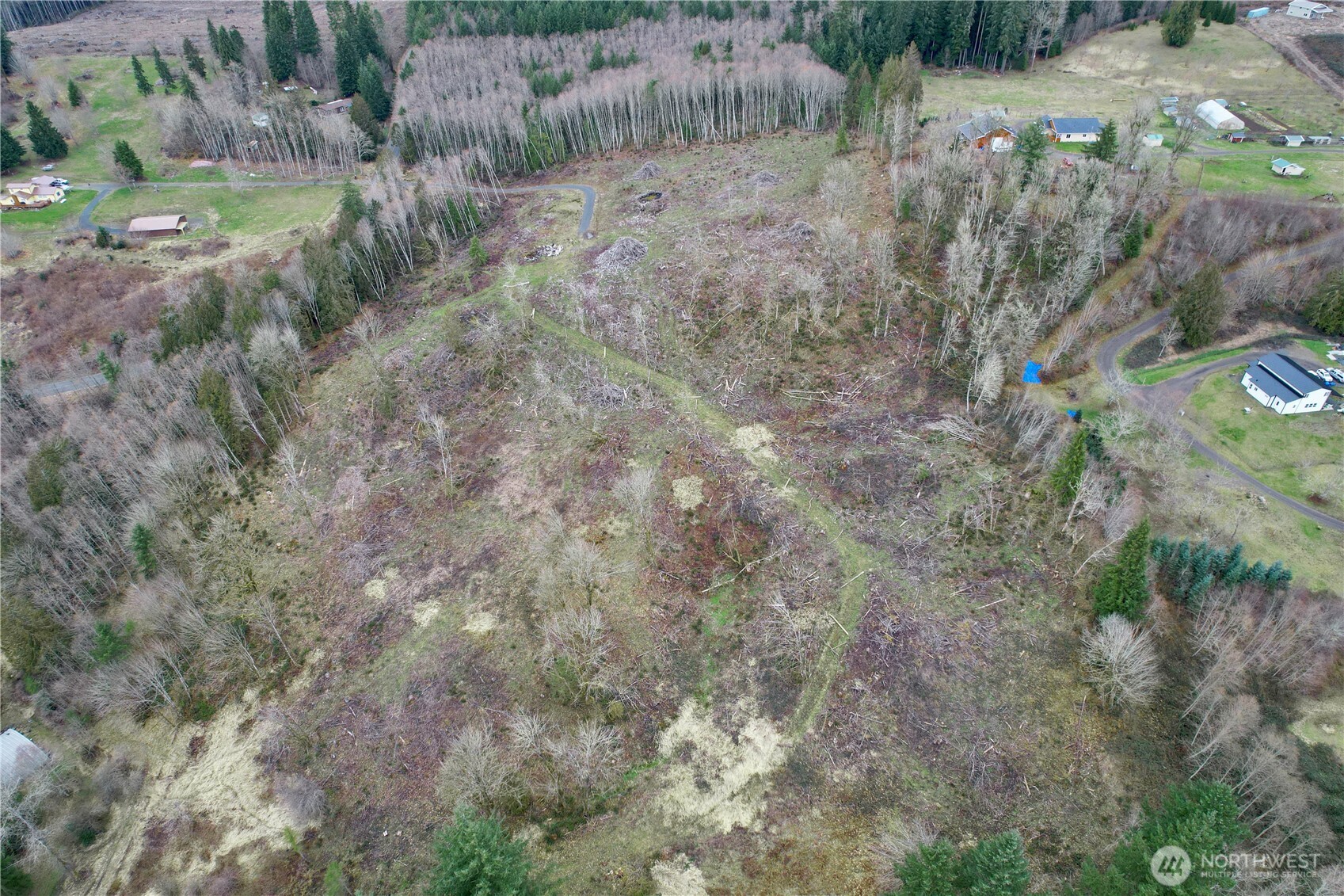 0 August Road Onalaska, WA 98570 - Photo 15 of 15 a view of a dry yard with trees