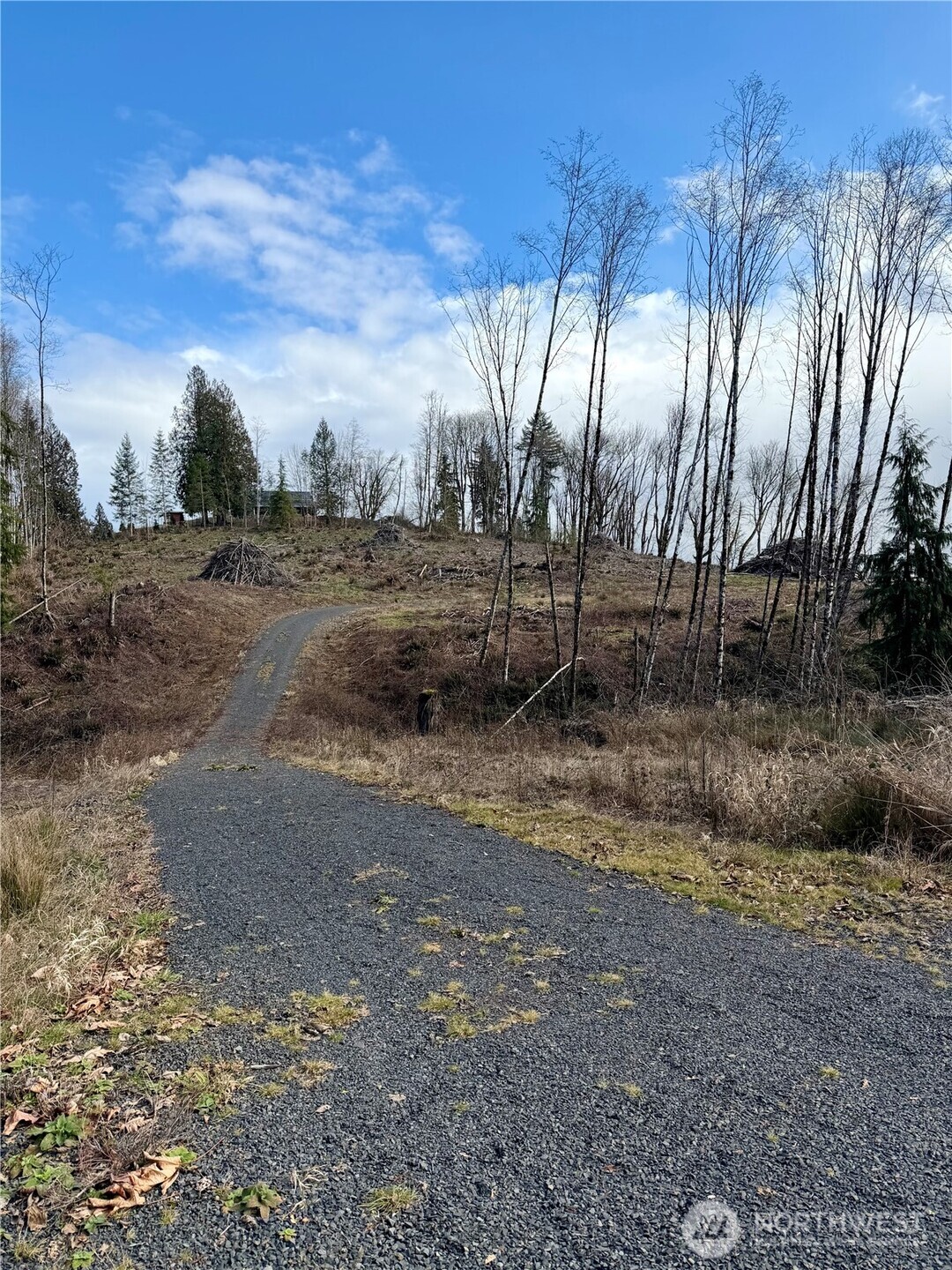0 August Road Onalaska, WA 98570 - Photo 2 of 15 a view of backyard with green space