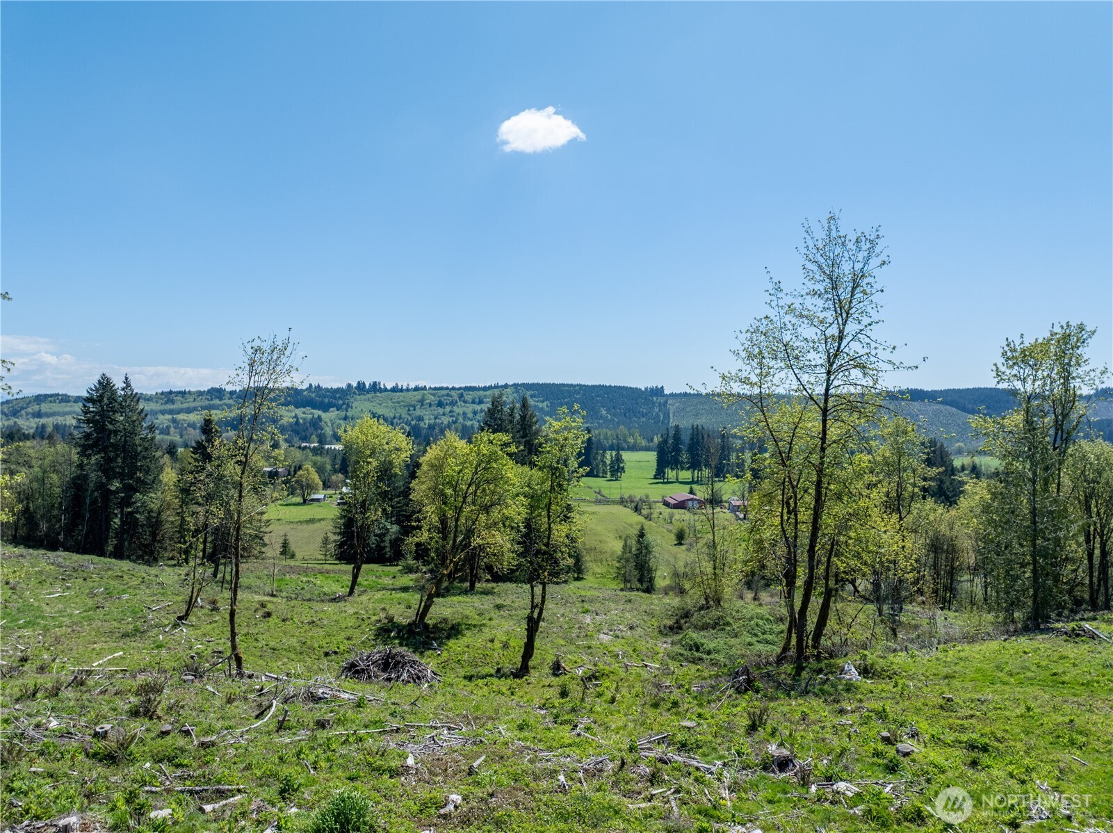 0 August Road Onalaska, WA 98570 - Photo 3 of 12
