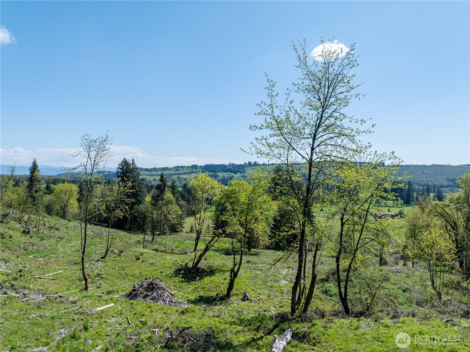 0 August Road Onalaska, WA 98570 - Photo 4 of 12