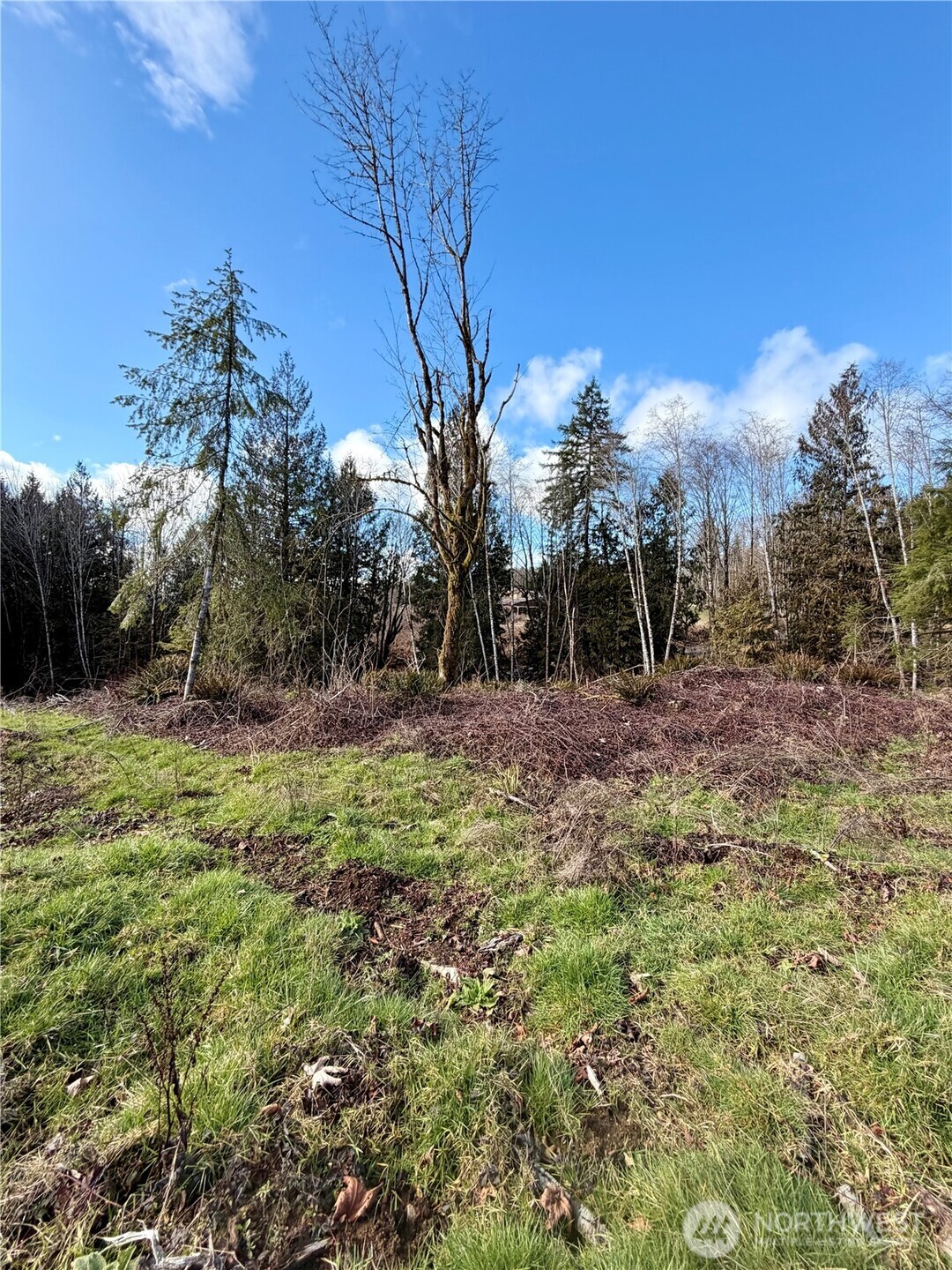 0 August Road Onalaska, WA 98570 - Photo 5 of 15 a view of backyard with green space