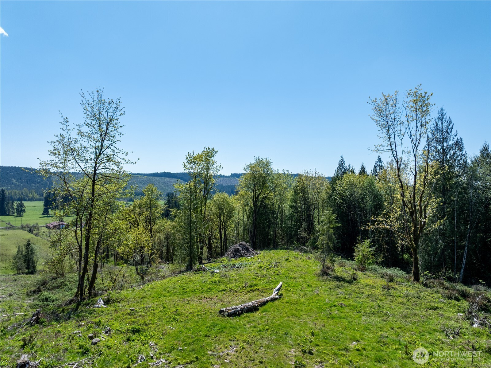 0 August Road Onalaska, WA 98570 - Photo 5 of 12