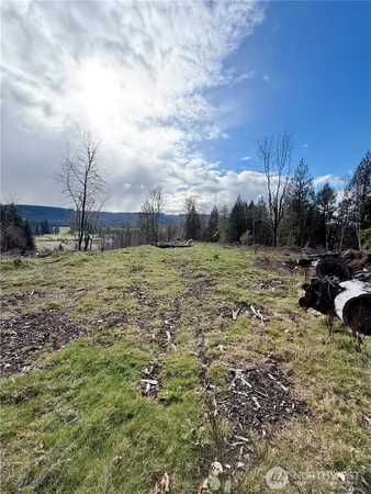 a view of a field