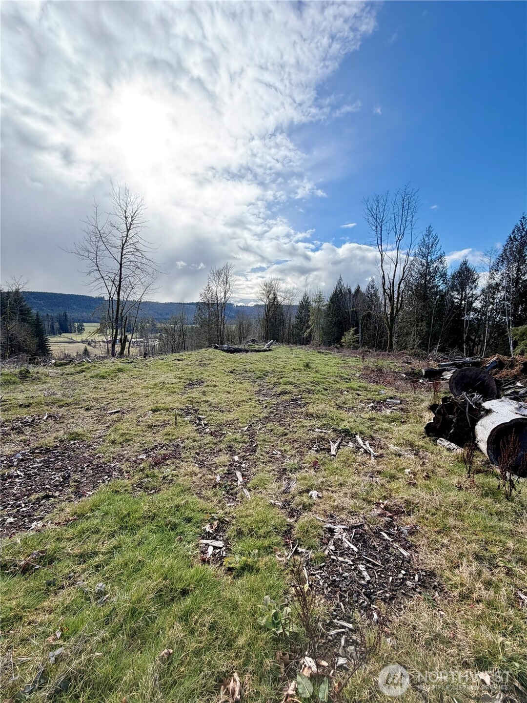 0 August Road Onalaska, WA 98570 - Photo 6 of 15 a view of a field