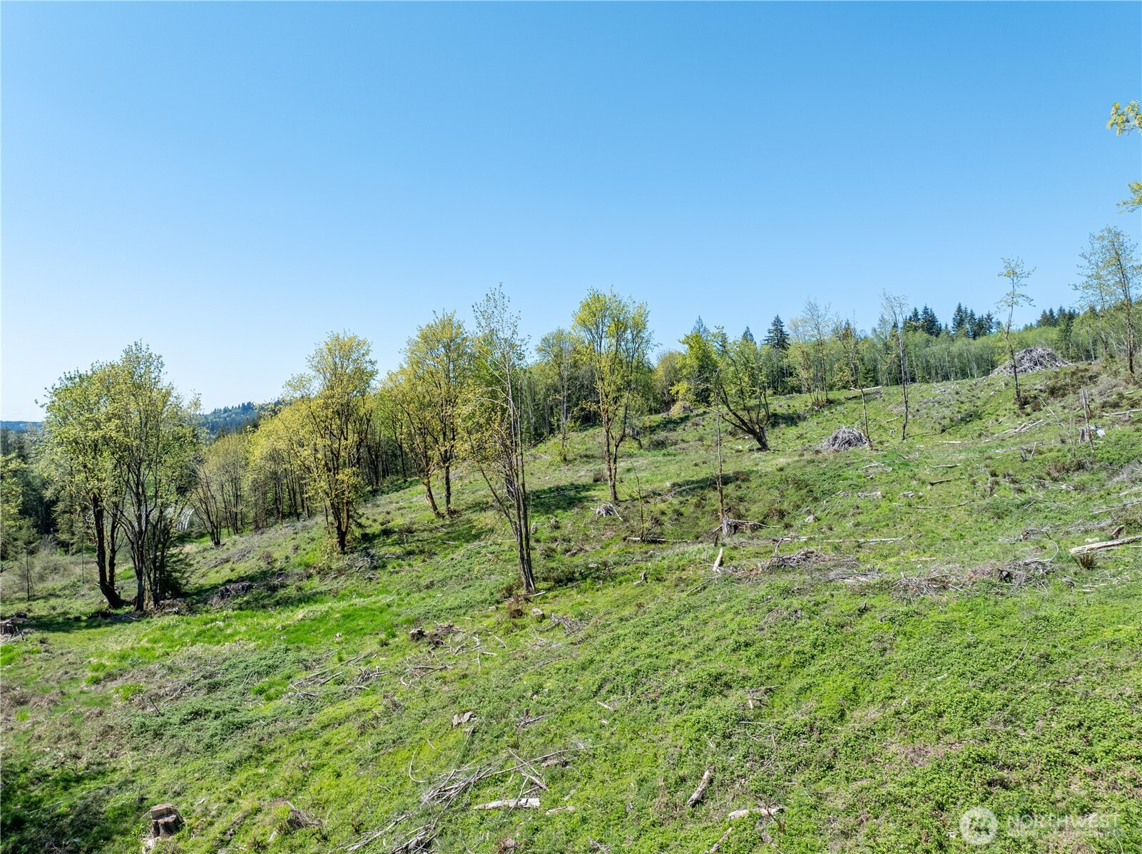 0 August Road Onalaska, WA 98570 - Photo 7 of 12