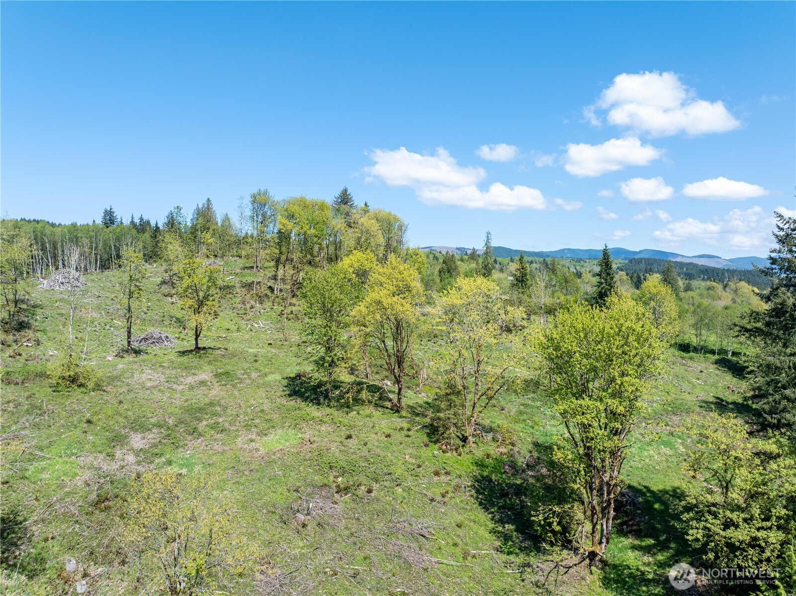 0 August Road Onalaska, WA 98570 - Photo 8 of 12