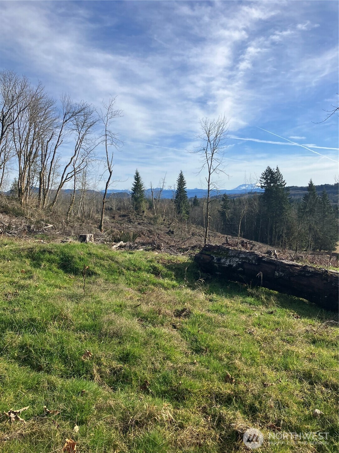0 August Road Onalaska, WA 98570 - Photo 8 of 15 a view of outdoor space and yard