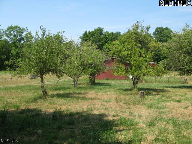 9032 Sherman Road Chesterland, OH 44026 - Photo 7 of 20 orchard