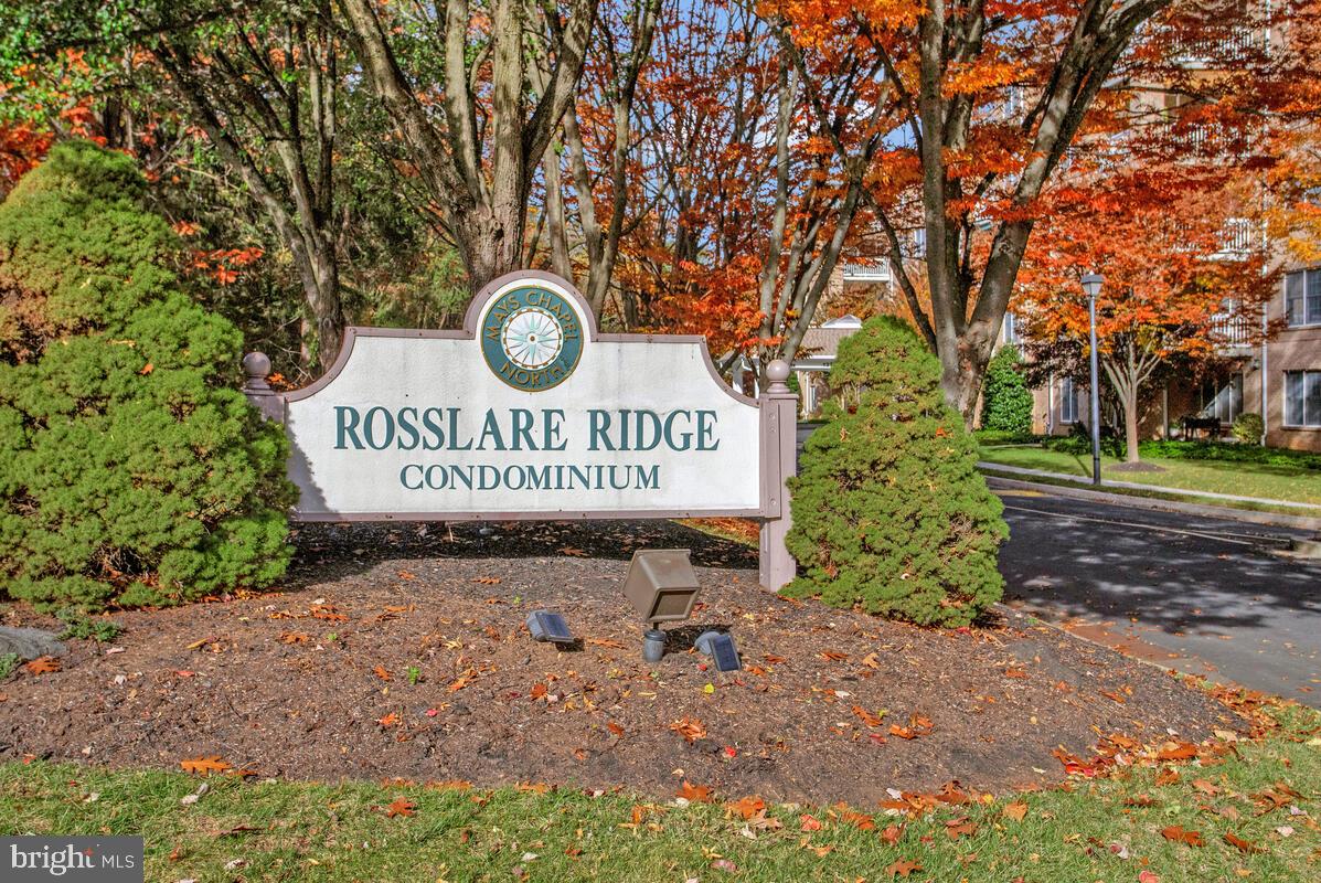 Rosslare Ridge Condos in Mays Chapel North