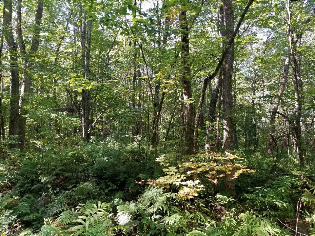 M4-l76 Flagg Road New Sharon, ME 04955 - Photo 15 of 27 Photo