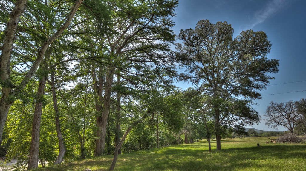 154 Weston Road Leakey, TX 78873 - Photo 9 of 37