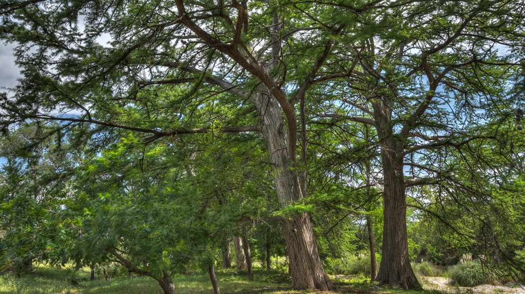 154 Weston Road Leakey, TX 78873 - Photo 10 of 37