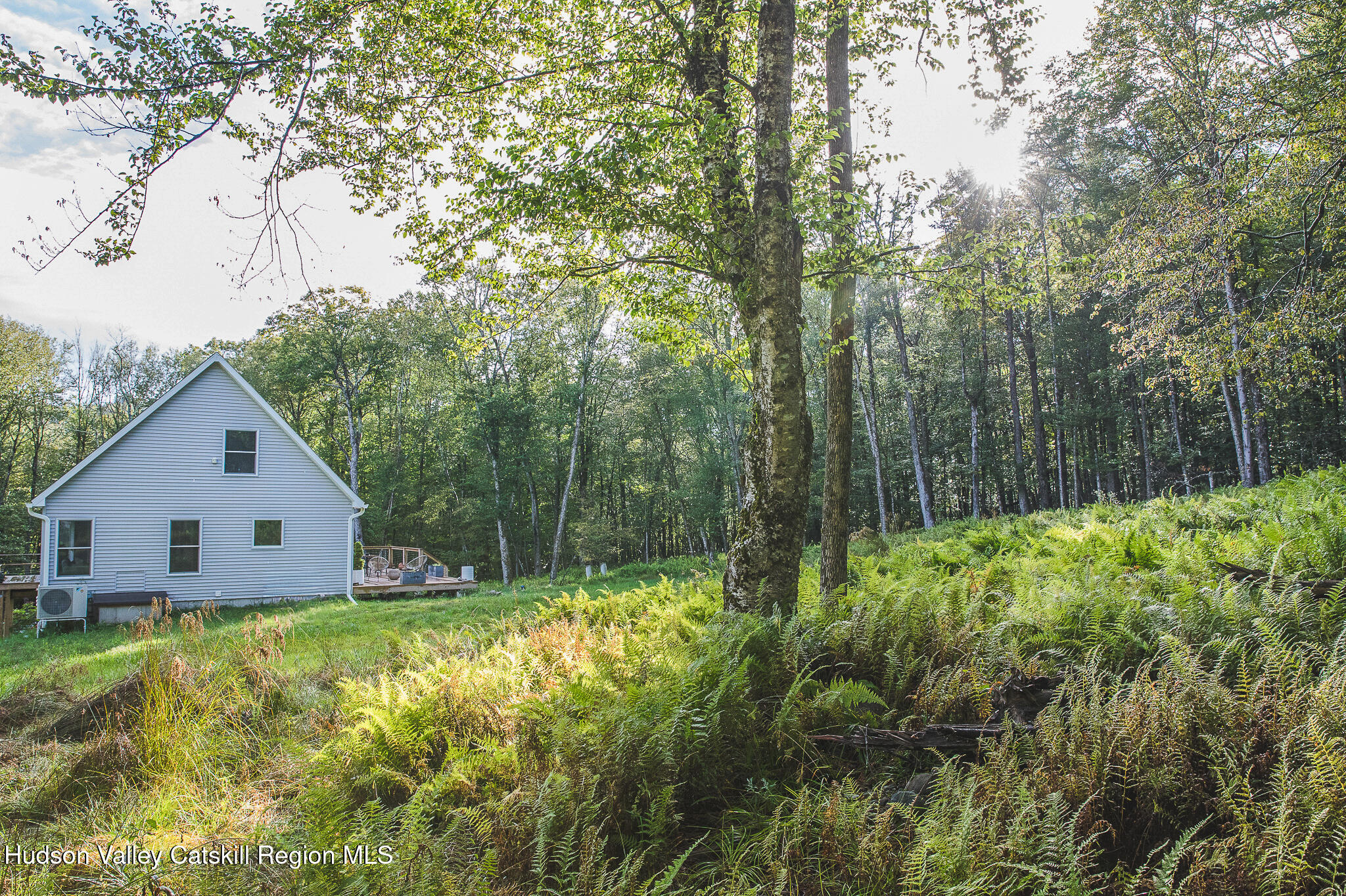546 Willowemoc Road Livingston Manor, NY 12758 - Photo 28 of 30 a view of house with backyard