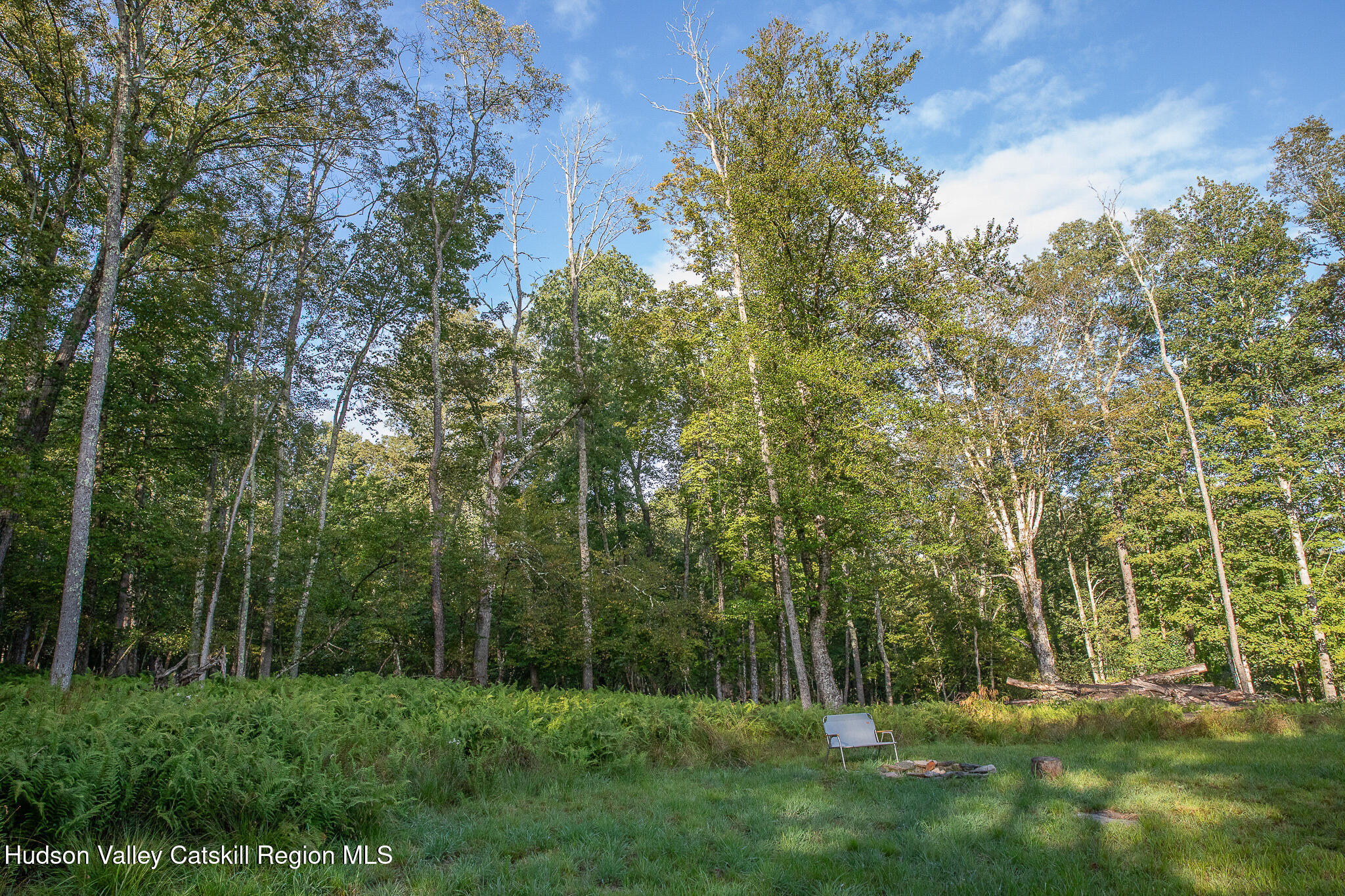 546 Willowemoc Road Livingston Manor, NY 12758 - Photo 29 of 30 a view of outdoor space and yard