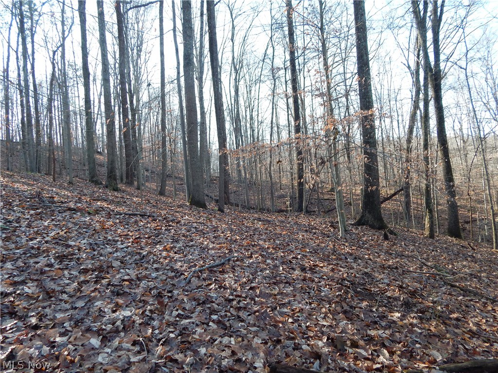 Mt Zion Road Harrisville, WV 26362 - Photo 13 of 23