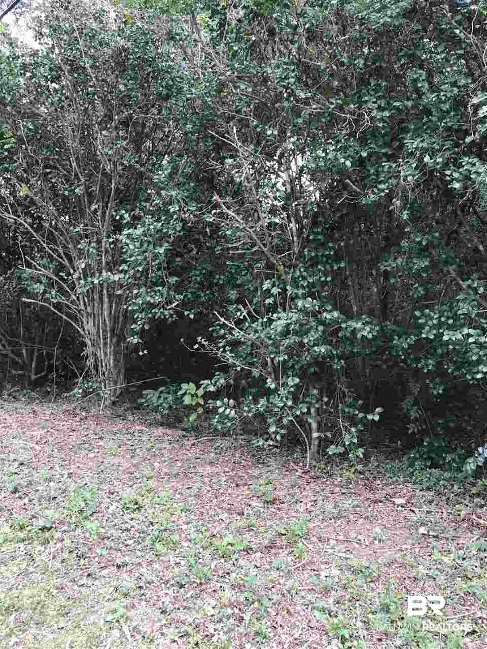 0 Randall Avenue Daphne, AL 36526 - Photo 2 of 2